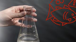 PFAS Monitoring: Novel Approaches for Air and Water Detection