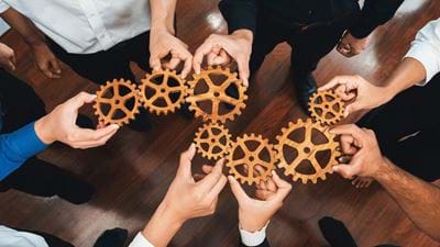 Engagement in action: Stories from Member Engagement Committee volunteers