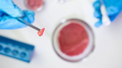 The Downstream Challenge of Cultivated Meat