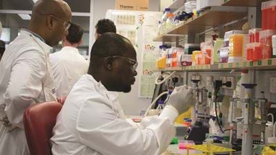 Coronavirus: the push to produce a vaccine