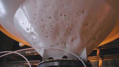 Solids Flow: Prevent the Problem 