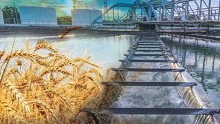 Question Time: Food & Water