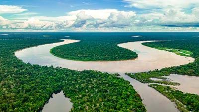 Brazil greenlights oil drilling in the Amazon 