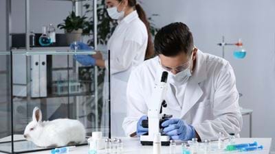 UK commits £75m to phasing out animal testing