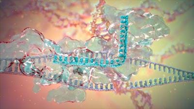 AstraZeneca strikes US$555m deal to commercialise AI-discovered immunology drugs