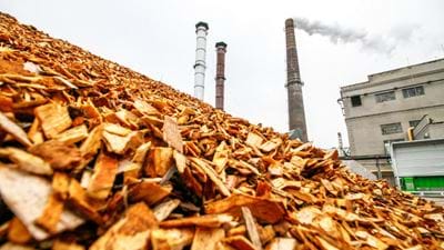 Biomass production unsustainable for industry energy demand, report says 