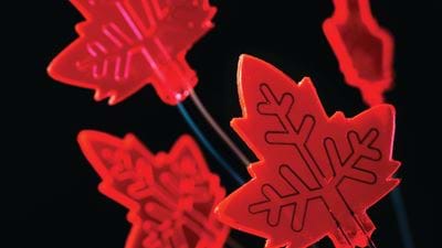 Leaf-inspired microreactor
