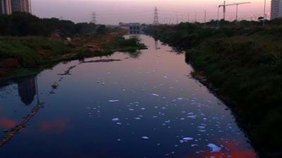 Report calls for greater alignment between EU and US toxic chemical waste regulation