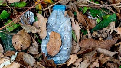 Leaf it out! Chemical engineers develop bioplastic that breaks down in soil