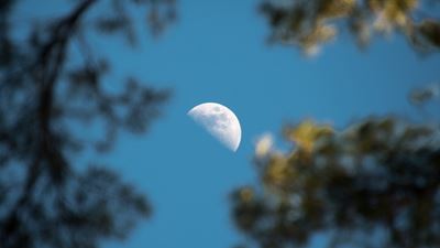 Australia funds project to grow plants on the moon 