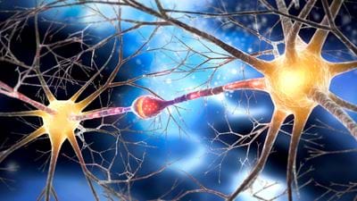 Stanford scientists recreate pain outside the human brain 