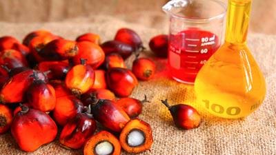 Bunge buys 70% of IOI Loders Croklaan for US$946m