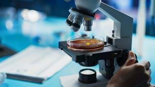 Fungal protein shows promise for ice control in frozen foods