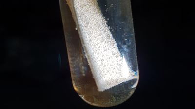 Project to convert medical waste into hydrogen fuel gets funding from Welsh Government