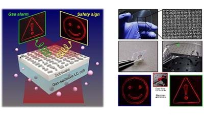 Novel wearable gas sensor