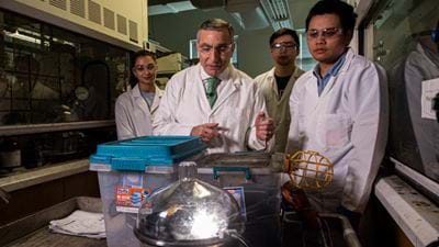 Green process converts almost any carbon source into graphene 
