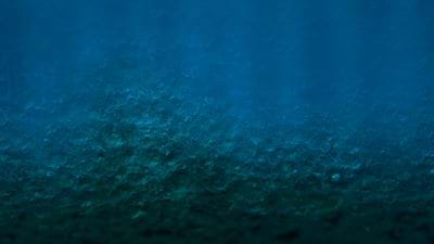 Deep-sea mining found to significantly reduce life on the seabed 