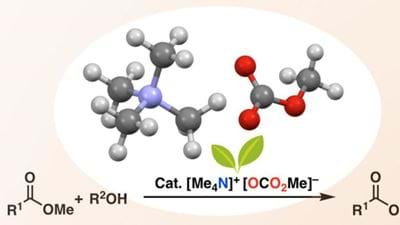 Metal-free catalyst for ester synthesis