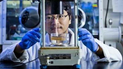 Wood improves solar steam generation