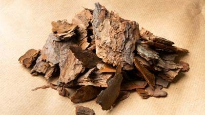 Kraft pulping cleantech secures €1m for lignin separation technology 