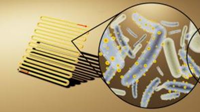 Cyborg bacteria make chemicals from sunlight