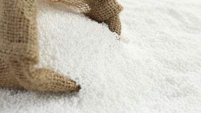 Novel method for green ammonia production 